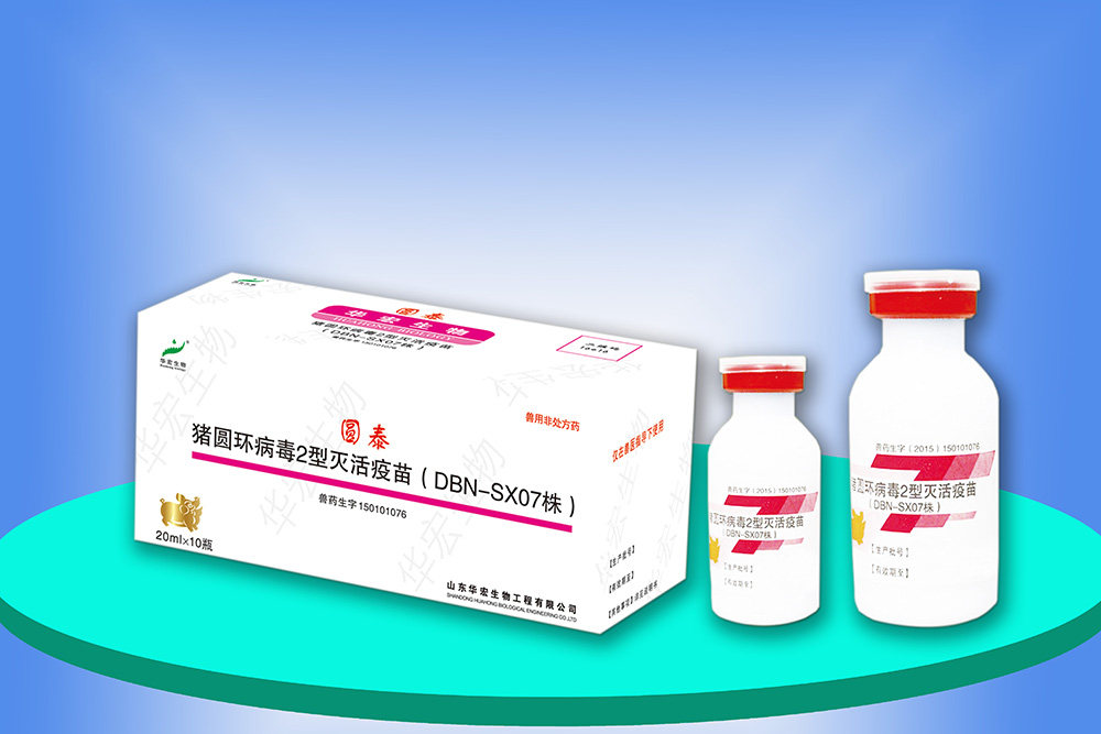 猪圆环病毒2型灭活疫苗