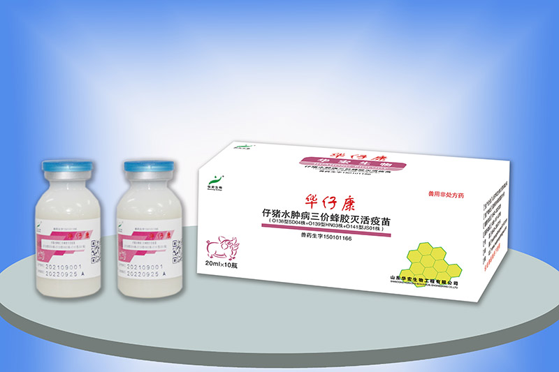 仔猪水肿病三价蜂胶灭活疫苗