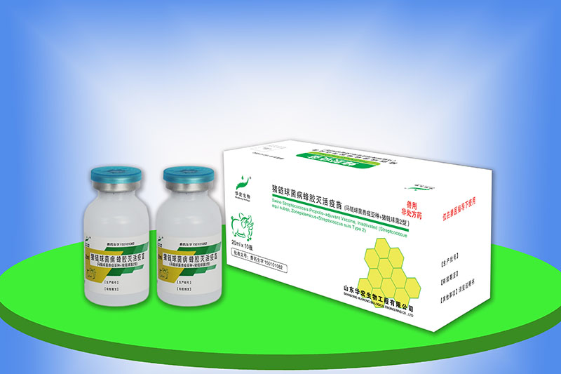 猪链球菌病蜂胶灭活疫苗（马链球菌兽疫亚种+猪链球2型）