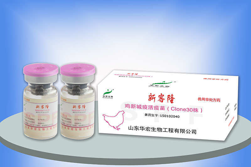 鸡新城疫活疫苗（Cl one 30）