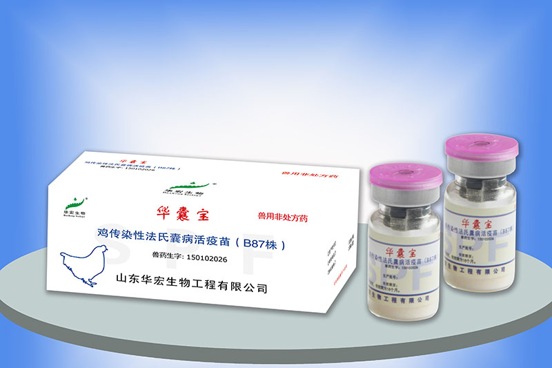 鸡传染性法氏囊病活疫苗（B87株）